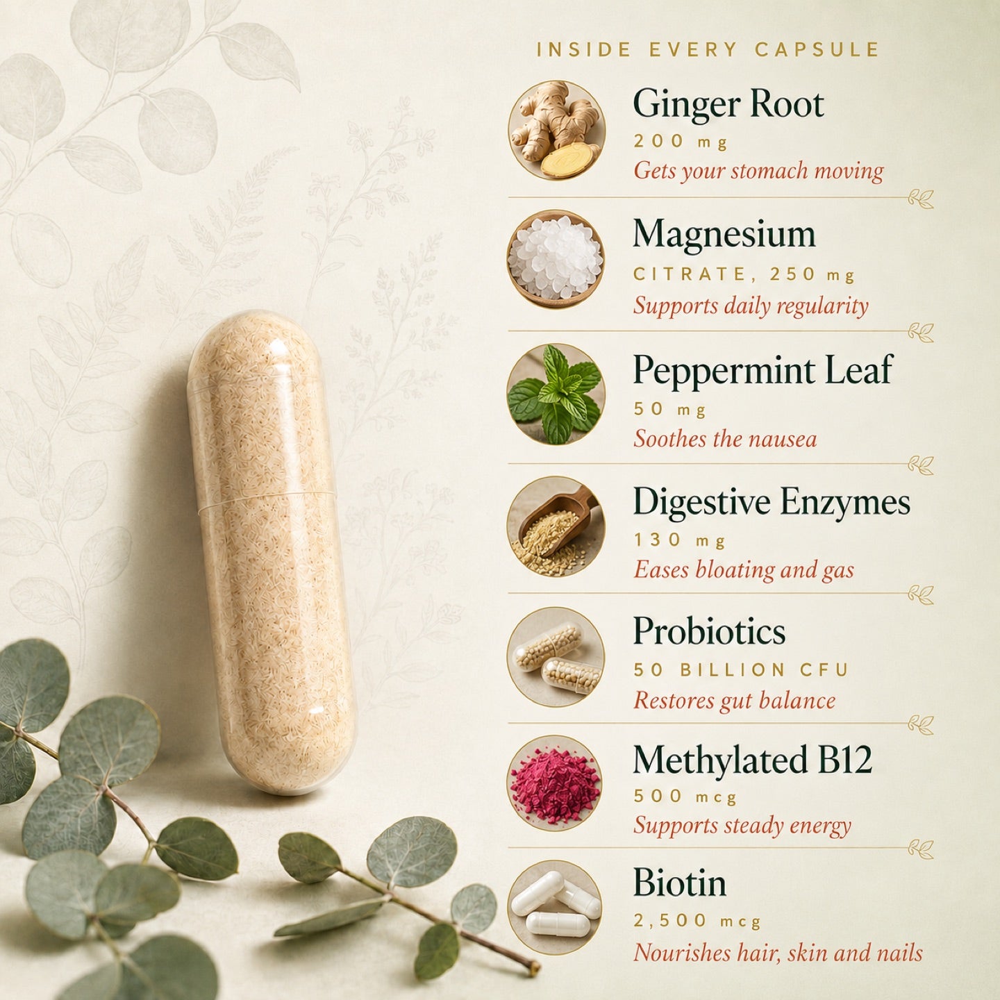 Inside every capsule: ginger root, magnesium, peppermint leaf, digestive enzymes, probiotics, methylated B12 and biotin